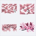 Cherry blossom. Set of vector backgrounds with sakura flowers. Royalty Free Stock Photo