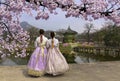 Gyeongbokgung Palace Seoul,South Korea. Royalty Free Stock Photo