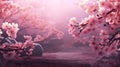 cherry blossom in spring, sakura, cherry blossom Royalty Free Stock Photo