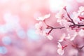 cherry blossom in spring time with bokeh background. Beautiful cherry blossom background with soft focus and bokeh, AI Generated Royalty Free Stock Photo