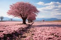 Cherry blossom. Springtime Concept. Sakura. Valentine\'s Day.