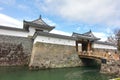 CHERRY BLOSSOM AT SUMPU CASTLE IN SHIZUOKA CITY, Japan