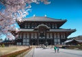 Cherry blossom time in Japan