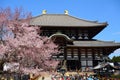 Cherry blossom at the Todai Temple, Nara, Japan