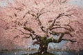 cherry blossom tree in full bloom, with colorful birds and dragonflies flitting about
