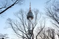 cherry blossom tree in full bloom at Seoul tower,Korea. Royalty Free Stock Photo