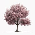 Cherry Blossom Tree Isolated. Illustration Generative AI Royalty Free Stock Photo