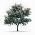 Cherry Blossom Tree Isolated. Illustration Generative AI Royalty Free Stock Photo