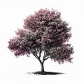 Cherry Blossom Tree Isolated. Illustration Generative AI Royalty Free Stock Photo