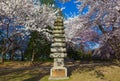 Cherry blossom tree and the Japanese stone Pagoda Temple gifted by Ryozo Hiranuma to Washington CD, in 1957