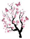 Cherry Blossom Tree Royalty Free Stock Photo