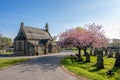 Cherry Blossom Trees shine brightly next to the Chapel of Hindley Cemetery, Wigan, Greater Manchester in the evening sun Royalty Free Stock Photo