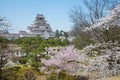 Cherry-blossom trees in Tsuruga castle park.