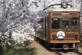 Cherry blossom tunnel, Keifuku line, Arashiyama, Kyoto. railway and brown train Royalty Free Stock Photo