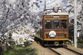 Cherry blossom tunnel, Keifuku line, Arashiyama, Kyoto. railway and brown train Royalty Free Stock Photo