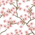 Cherry blossom vector background. (Seamless