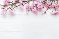 Cherry blossom on a white wood background. Floral frame border. Template with copy space. Romantic pattern with place for text. Royalty Free Stock Photo