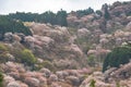 Cherry blossom on Yoshinoyama, Nara, Japan spring landscape Royalty Free Stock Photo