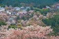 Cherry blossom on Yoshinoyama, Nara, Japan spring landscape Royalty Free Stock Photo