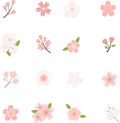 Japanese Cherry Blossom. Sakura Vector Icon Set. Royalty Free Stock Photo