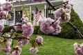 Cherry Blossoms and American Flag Royalty Free Stock Photo