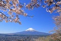 Cherry blossoms at Arakurayama Sengen Park and Mount Fuji Royalty Free Stock Photo