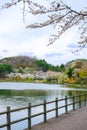 Cherry blossoms around Takamatsu Pond in Takamatsu Park,Morioka,Iwate,Tohoku,Japan in spring.selective focus
