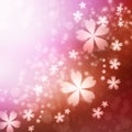 Cherry blossoms background Royalty Free Stock Photo