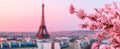 Cherry blossoms bloom near Eiffel Tower Royalty Free Stock Photo