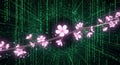 Cherry Blossoms Branch Overlay on Digital Matrix Code Tunnel Background Royalty Free Stock Photo