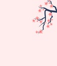 Cherry blossoms on a branch, pink flowers, springtime background. Elegant floral design, simplicity and nature concept Royalty Free Stock Photo
