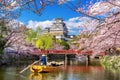 Cherry blossoms and castle in Himeji, Japan