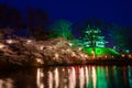 Cherry blossoms and Castle in the twilight Royalty Free Stock Photo