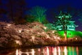 Cherry blossoms and Castle in the twilight Royalty Free Stock Photo