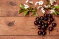 The cherry blossoms and cherries on a wooden table Royalty Free Stock Photo