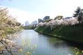 Cherry blossoms at Chidorigafuchi Moat in Tokyo, Japan