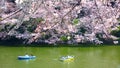 Cherry blossoms at Chidorigafuchi in TOKYO JAPAN