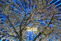 Cherry blossoms and Cosmo clock