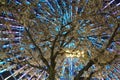 Cherry blossoms and Cosmo clock