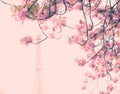 Cherry Blossoms and Eiffel Tower Royalty Free Stock Photo