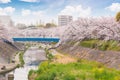 Cherry blossoms festival in Nagoya with many tourist at Yamazaki river Royalty Free Stock Photo