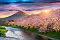 Cherry blossoms and Fuji mountain in spring at sunrise, Shizuoka in Japan.