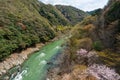 Cherry blossoms in Kyoto. Hozugawa River, Hozu Gorge.