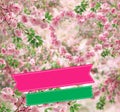 Cherry blossoms, background for congratulations