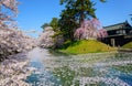 Cherry blossoms at Hirosaki Park Royalty Free Stock Photo