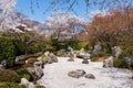 Cherry blossoms in Japanese Zen garden. Shogunzuka Seiryuden Shorenin Temple. Kyoto, Japan. Royalty Free Stock Photo