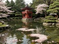 Cherry blossoms on Japanse ornamental pond Royalty Free Stock Photo