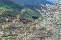 Cherry blossoms in the Jerte Valley, Spain Royalty Free Stock Photo
