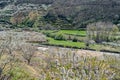 Cherry blossoms in the Jerte Valley, Spain Royalty Free Stock Photo