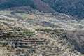 Cherry blossoms in the Jerte Valley, Spain Royalty Free Stock Photo